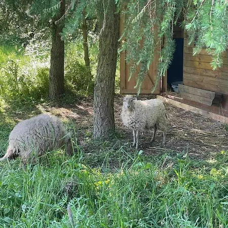 Chez Colette Appartement