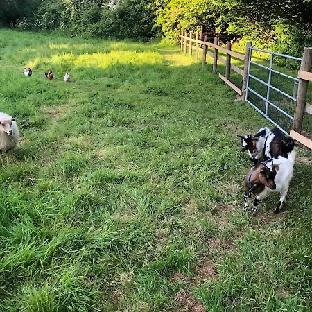 Appartement Chez Colette Commes