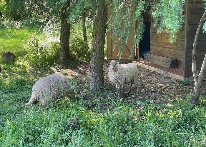 Chez Colette Lejlighed
